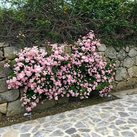 Σπίτι διακοπών Olivastra Roccastrada
